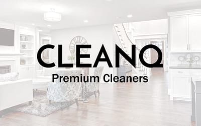CLEANQ Website