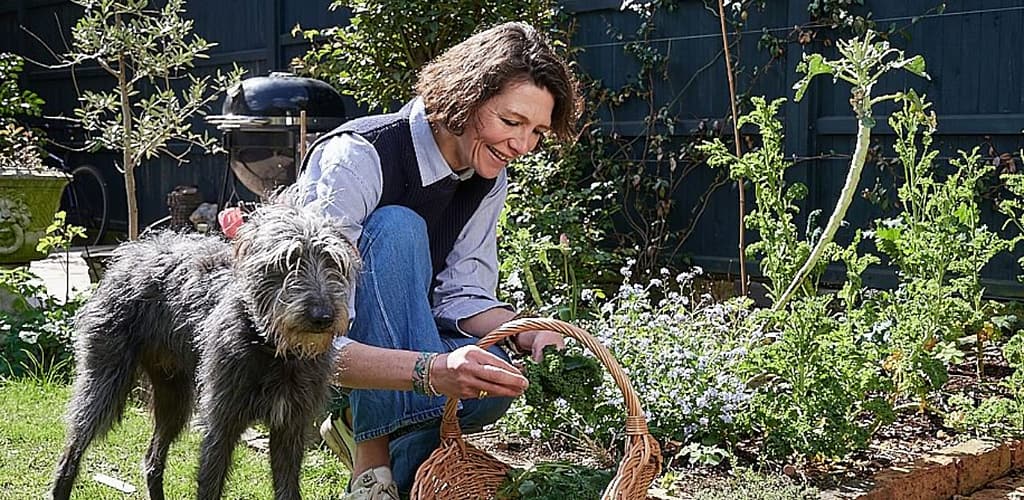 thomasina miers and her dog putting garden plants in a basket