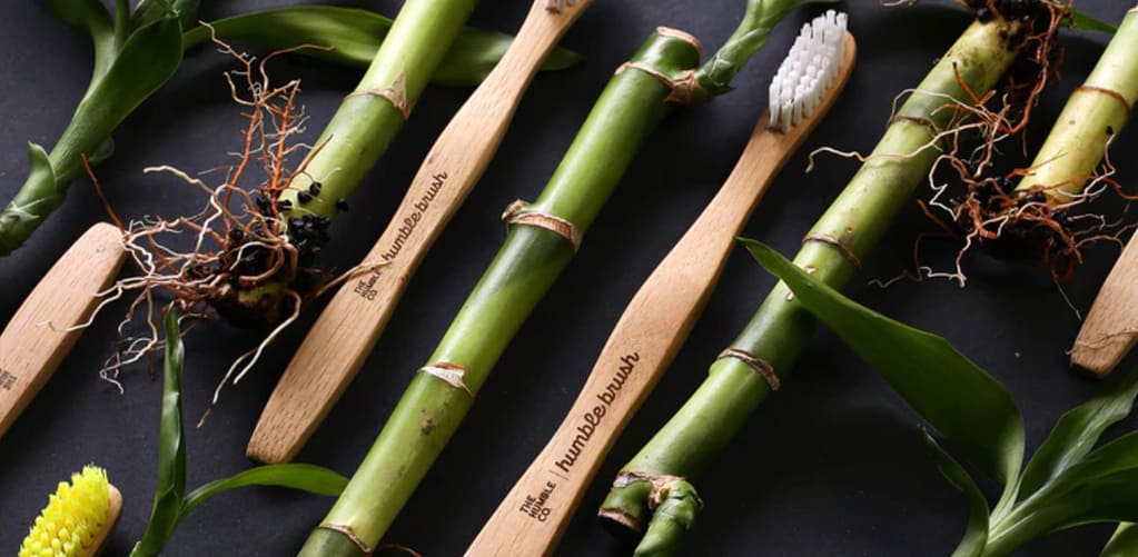 the humble co toothbrush surrounded by bamboo