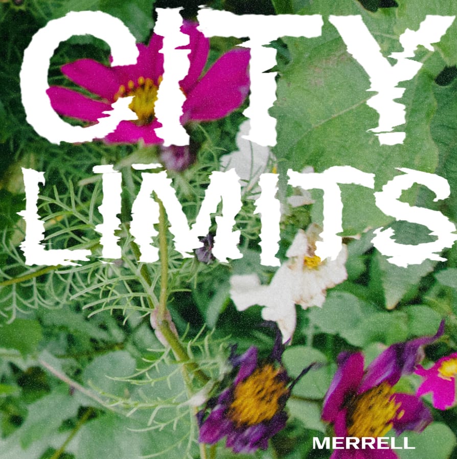 city limits font with green background